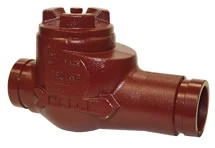 2F-D32-GE grooved swing check valve Balon